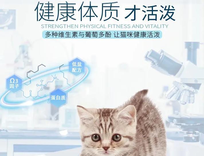 猫咪毛色与猫粮品种有何关联？