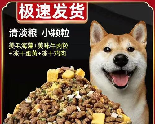 狗狗食欲差应该给它吃什么狗粮好呢？