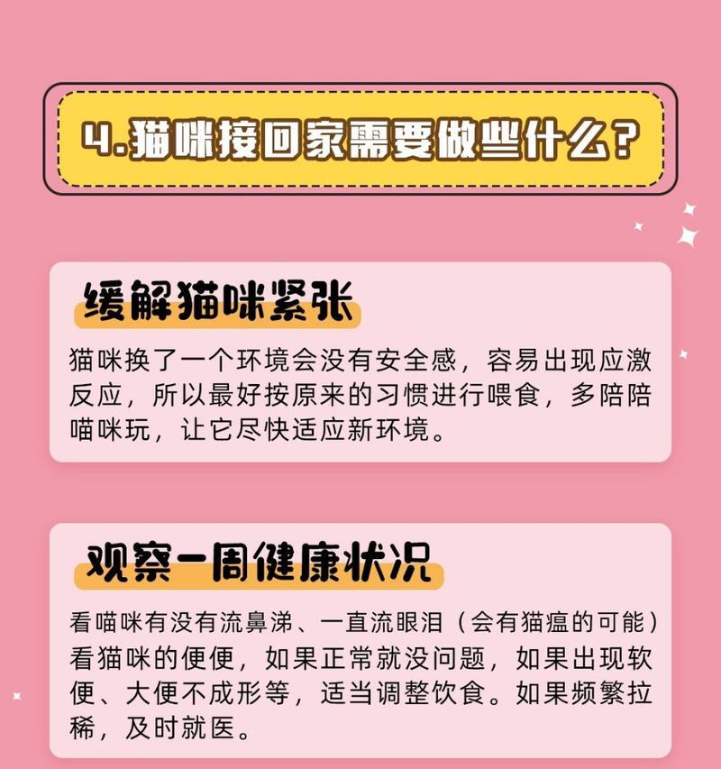 换粮后猫大便不成形很软怎么办？哪种方法最有效？