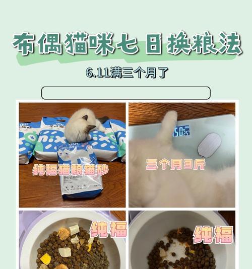 猫咪换粮后频繁拉屎怎么办？是换粮问题吗？