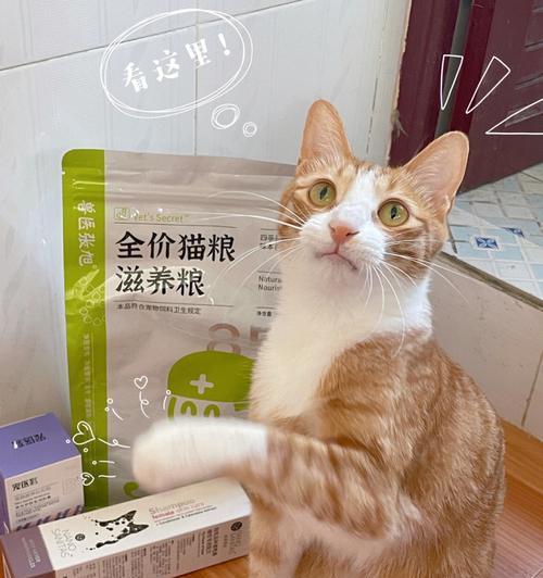 小猫换粮后大便不成形怎么办？