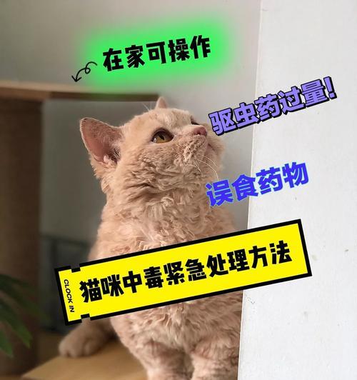 宠物猫误食针怎么办？紧急处理措施有哪些？