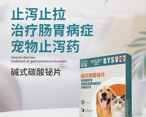 博美犬拉肚子并呕吐应吃什么药？如何快速缓解症状？