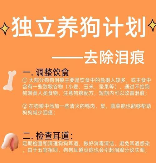 比熊眼屎多时的清洁方法是什么？