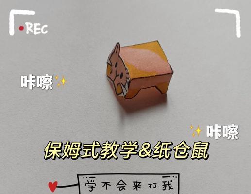 仓鼠为什么喜欢纸？如何正确引导？