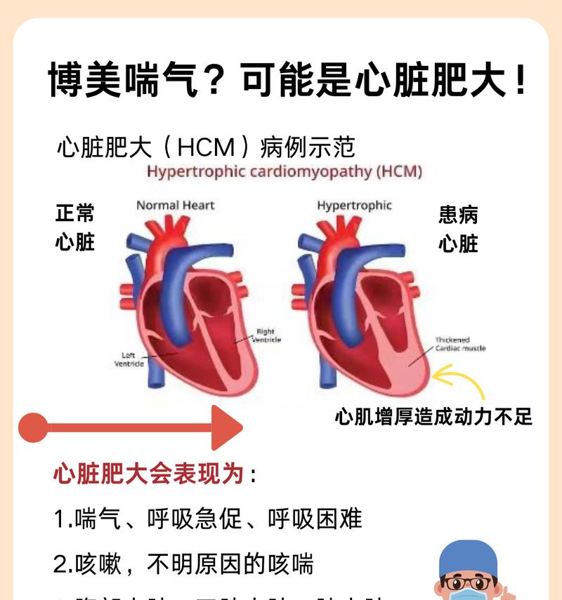 吉娃娃老年心脏不好喘气困难怎么办？