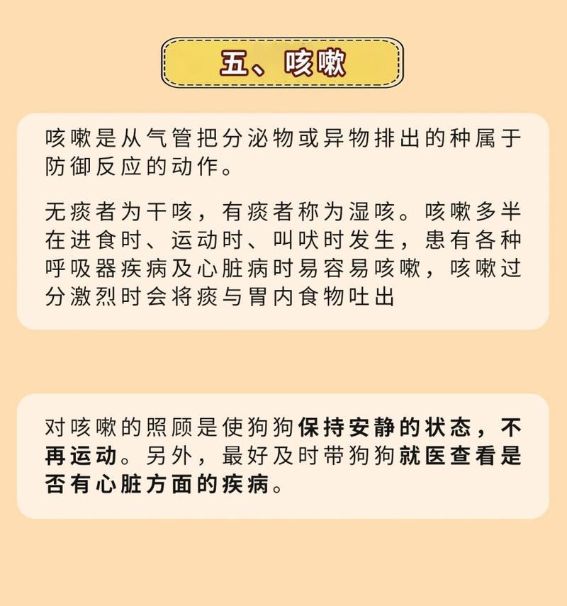 吉娃娃呛到咳嗽的处理方法有哪些？