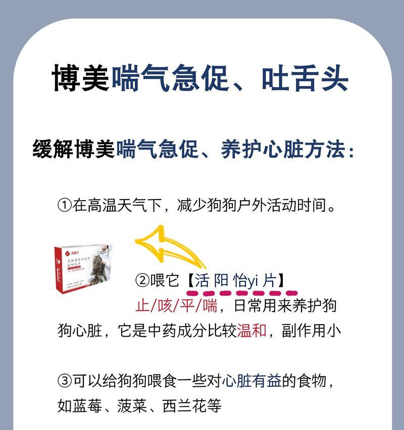 博美犬拉肚子并呕吐的解决办法是什么？