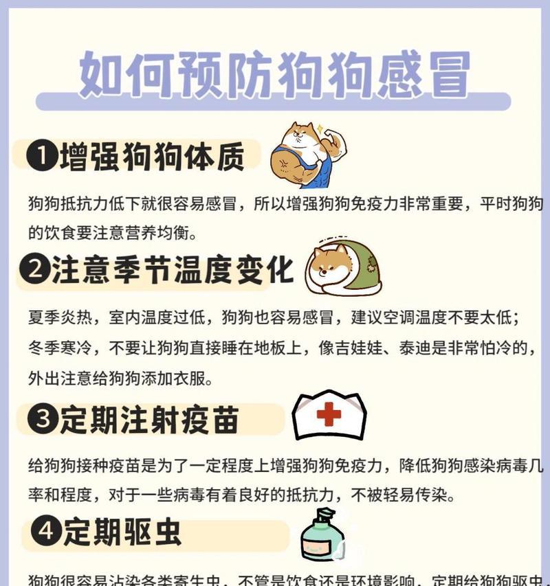 宠物狗感冒会传染给人吗？如何治疗？