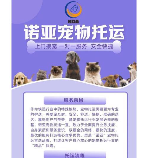 宠物托运后吐水了怎么办？有效应对措施是什么？