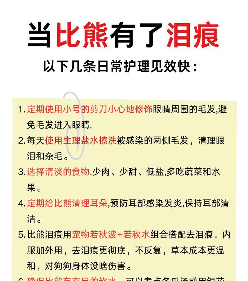 比熊眼睛里的眼屎怎么办？有哪些处理方法？