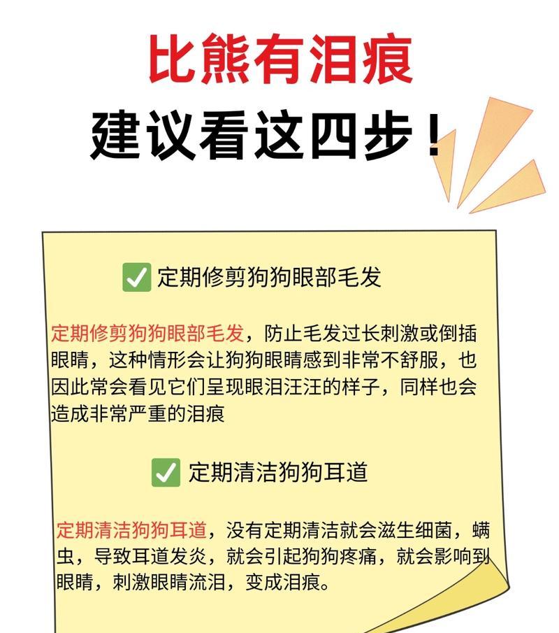 比熊眼睛里的眼屎怎么办？有哪些处理方法？