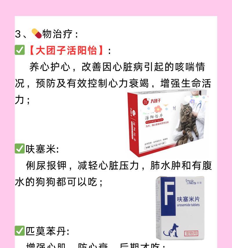 吉娃娃产前呼吸急促咋办？推荐使用什么药物？