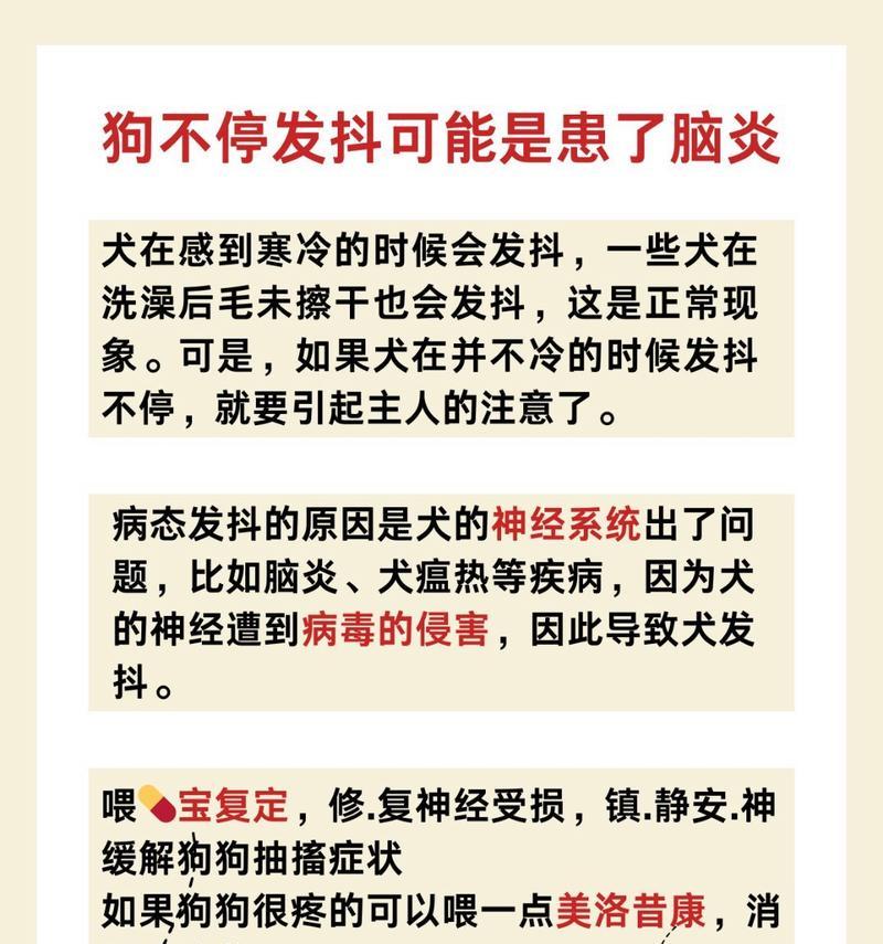 宠物狗出现脑炎怎么办？急救办法有哪些？