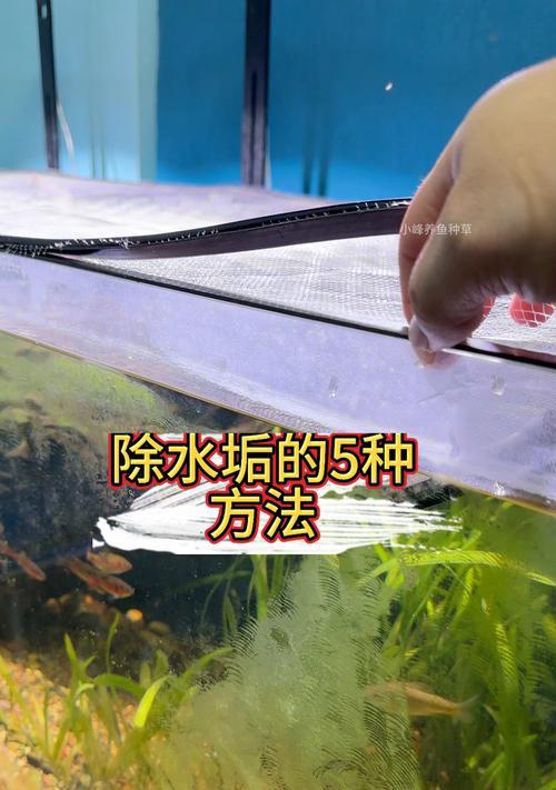 鱼缸鱼食导致水浑浊怎么办？怎么解决？