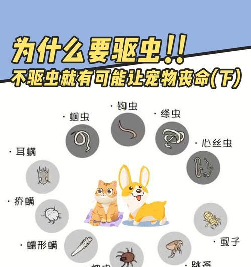 宠物狗寄生虫会传染给人吗？怎么预防？