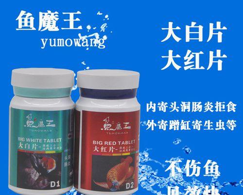 养殖鱼鳞片脱落咋办？用什么药可以治疗？