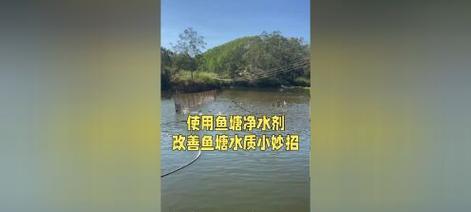 鱼塘水质变黑了咋办？用什么药可以治疗？