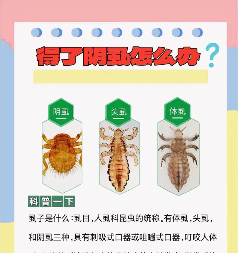 阴虱是宠物传染的吗？怎么彻底清除？