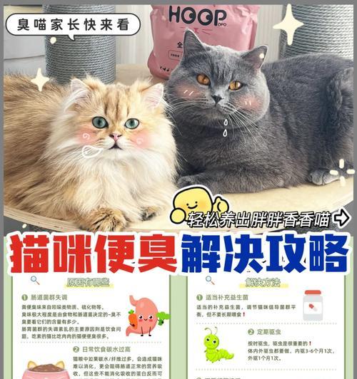 猫粮有异味咋办？可能是哪些原因造成的？