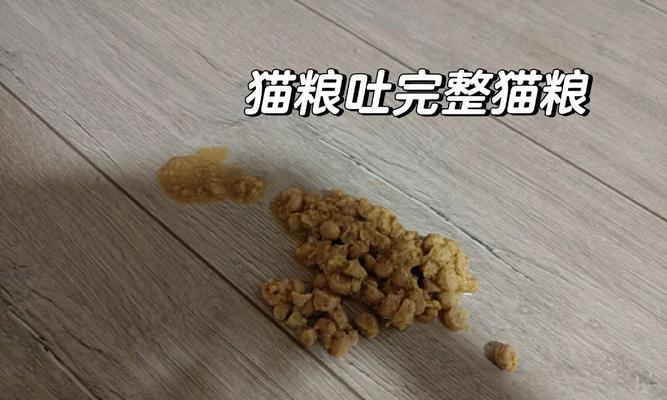 猫粮有异味咋办？可能是哪些原因造成的？