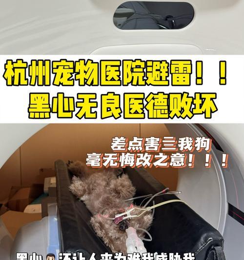 宠物狗脑炎急救方法有什么？如何及时处理？