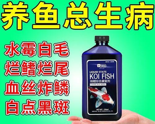 鱼塘鱼类出血病怎么治疗？推荐使用哪种药物？