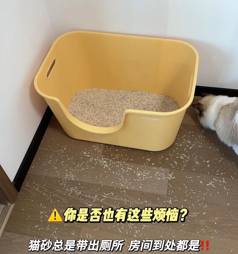 猫咪不在猫砂盆内排泄，怎么纠正？