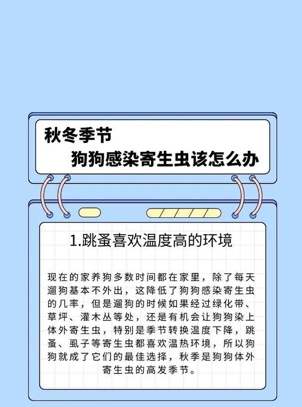 宠物狗寄生虫会传染人吗？怎么预防和处理？