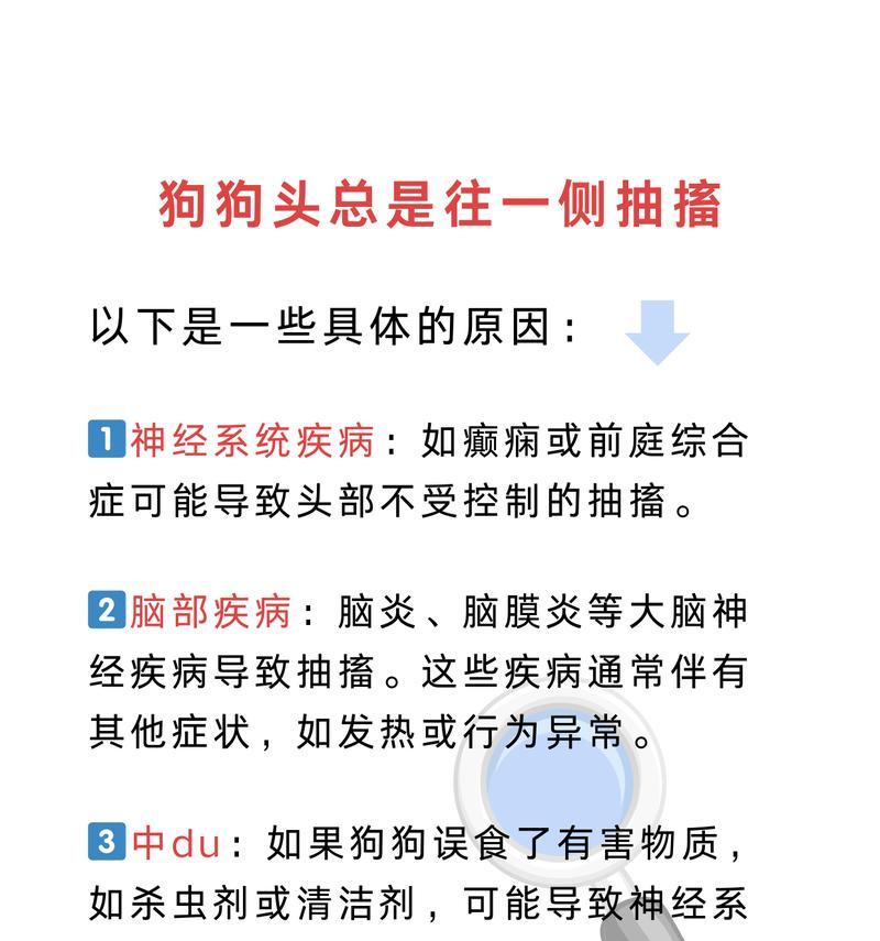 宠物狗脑炎急救办法有什么？如何快速应对？