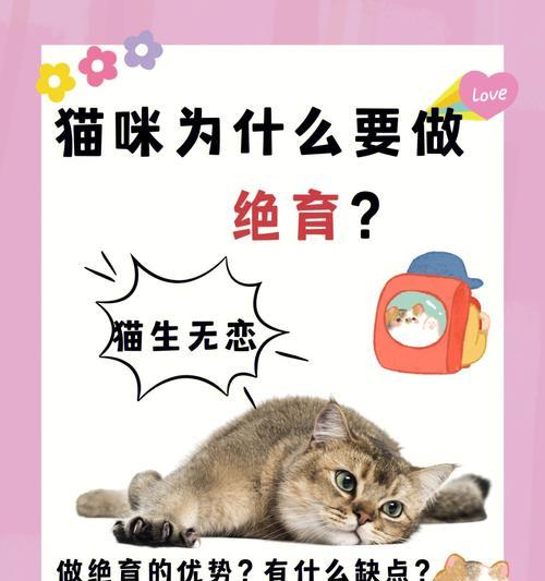 猫咪绝育心肌肥厚？处理方法有哪些？