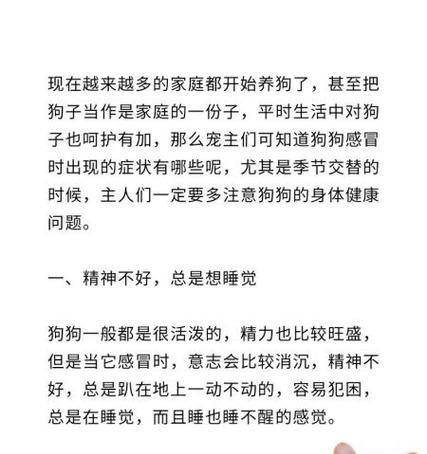 狗狗感冒会传染给人吗？如何正确用药治疗？