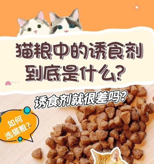 猫粮异味的原因及解决方法是什么？