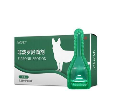 宠物狗细菌传染人？应该使用哪种药物？