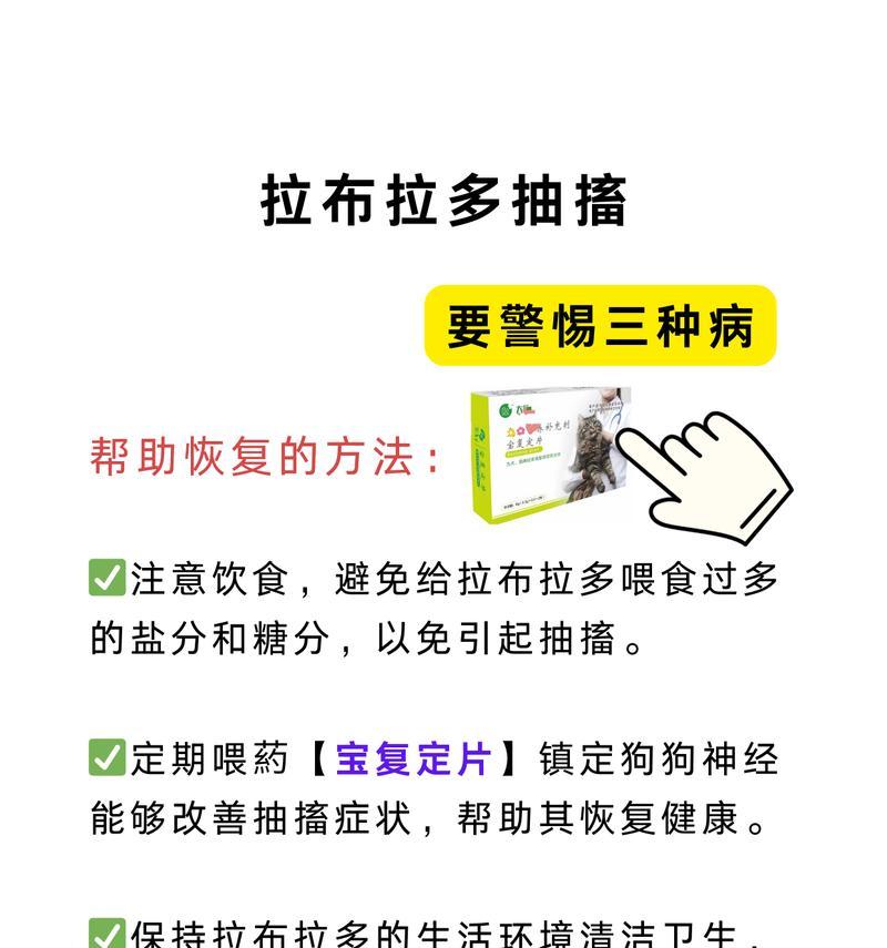 两个月的拉布拉多总是乱咬怎么办啊呢？怎样避免破坏行为？