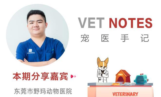 博美犬腹泻呕吐应如何选择药物？有哪些推荐？