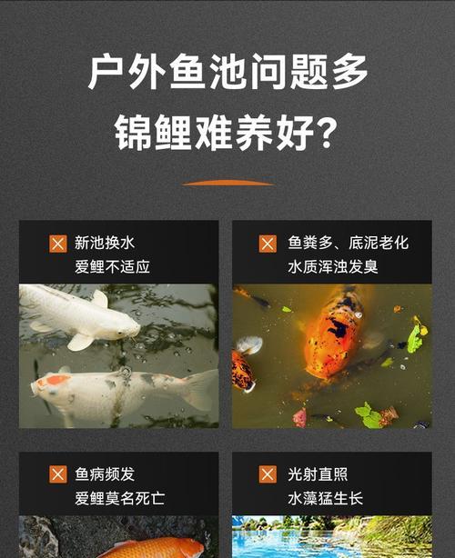 锦鲤新鱼不断分泌黏液怎么办呢用什么药？如何治疗？