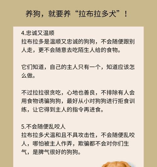 两个月的拉布拉多总是乱咬怎么办呀啊？有效训练技巧是什么？