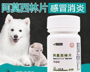 狗牙痛吃什么消炎药？如何选择合适的宠物用药？