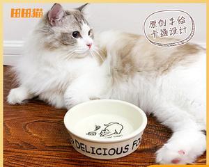 广州哪里有猫咪用品？猫咪用品购买指南和推荐