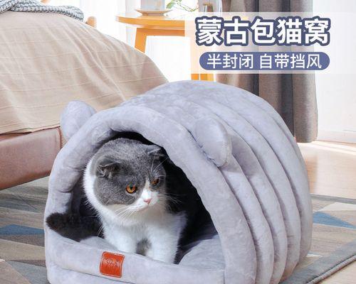 广州哪里有猫咪用品？猫咪用品购买指南和推荐