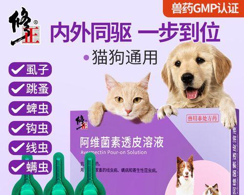 两个月大的小猫如何正确使用驱虫药？常见问题有哪些？