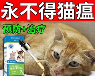 猫拉稀怎么治疗方法？家庭简易处理步骤有哪些？