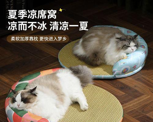 猫妈妈不给小猫清理怎么办？如何人工干预帮助小猫清洁？