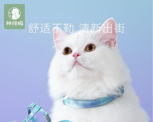 猫妈妈不给小猫清理怎么办？如何人工干预帮助小猫清洁？