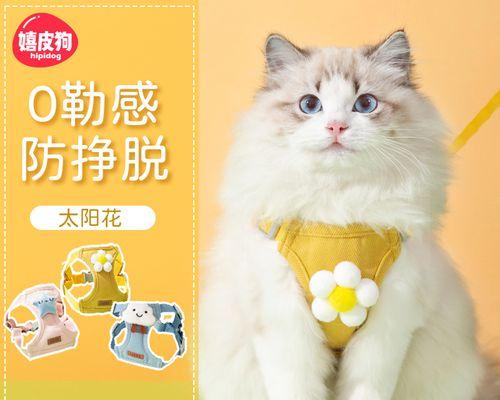 猫猫不肯洗澡怎么办？有效驯服小猫洗澡的技巧是什么？