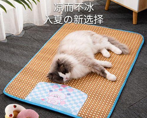 猫猫不肯洗澡怎么办？有效驯服小猫洗澡的技巧是什么？