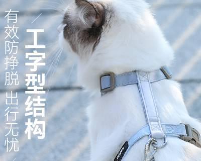 猫猫不肯洗澡怎么办？有效驯服小猫洗澡的技巧是什么？