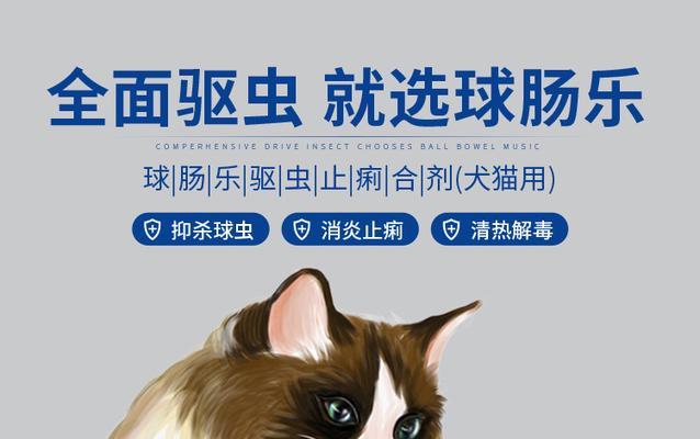 猫猫感染弓形虫后应该怎么办？如何预防和治疗？