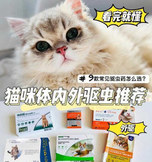 猫为什么要定期驱虫？驱虫的重要性是什么？